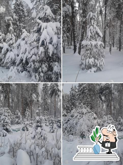 фирменные торты