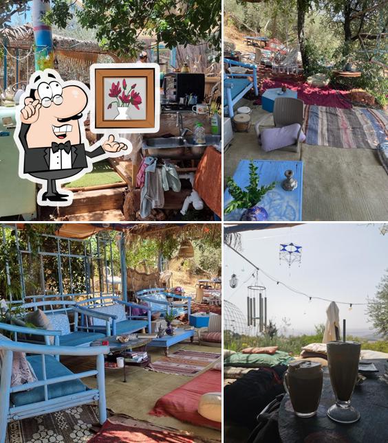 תפיללוש צא'י שופ קפה