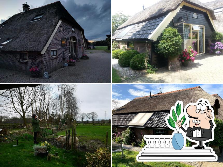 Bed and Breakfast De Doezelaar