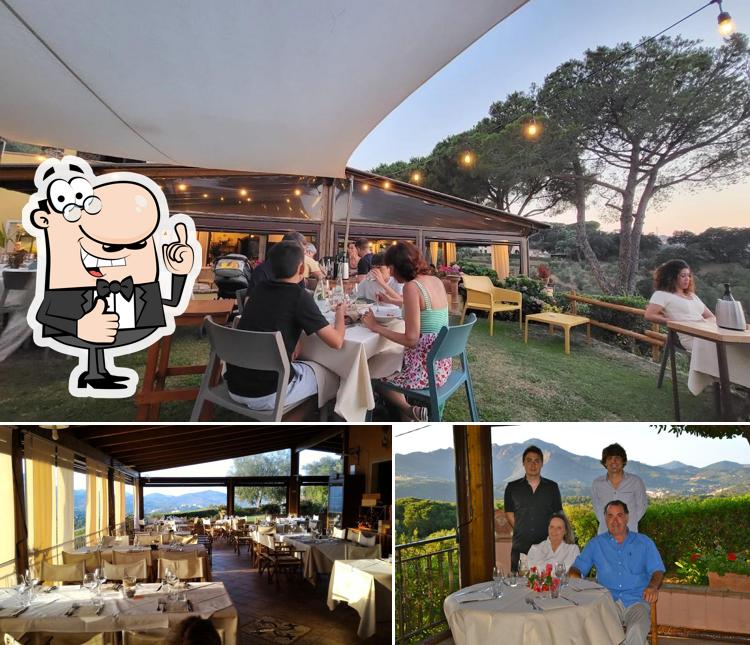 Ristorante Koala