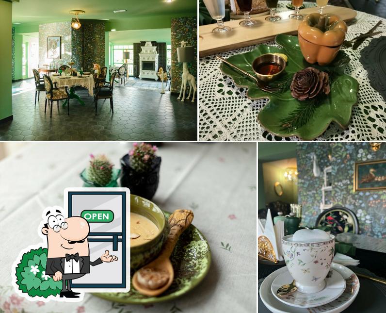 Зелёная Сова