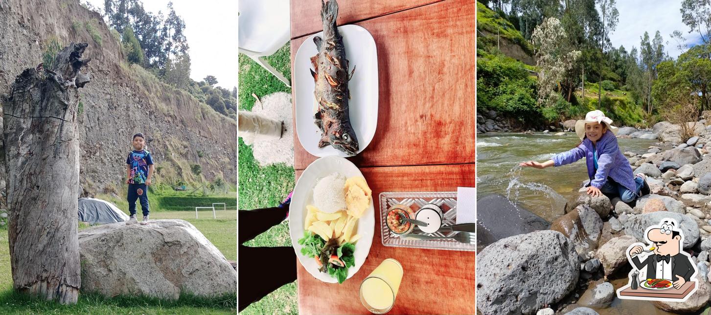 Complejo Turístico y Pesca Deportiva Los Laureles
