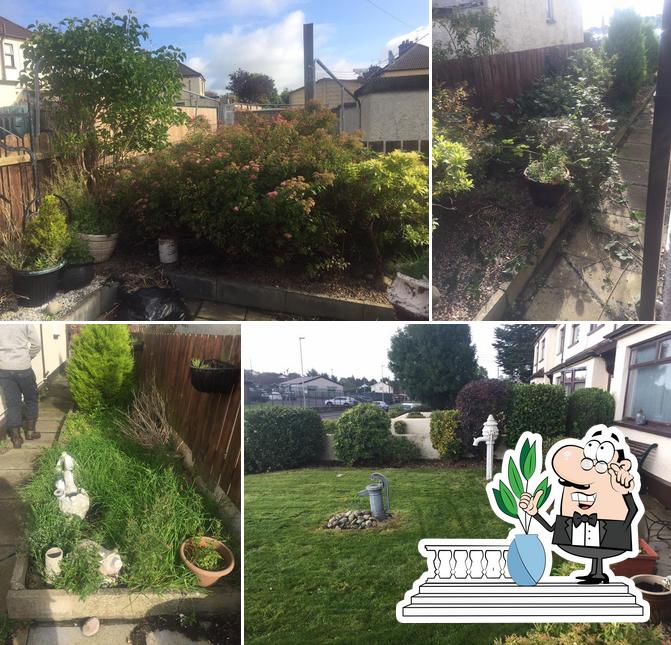 JD Gardening