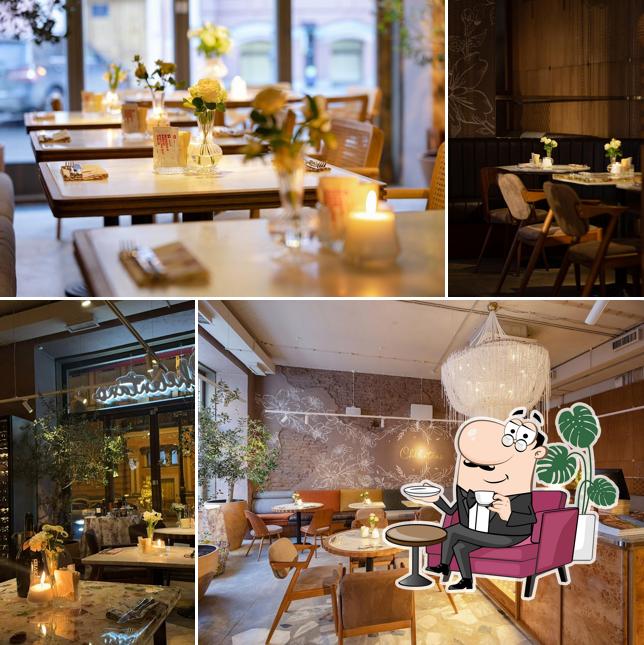 Посмотрите на внутренний интерьер "Chelentano"