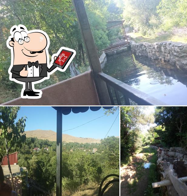 Yığit Alabalık Tesisleri