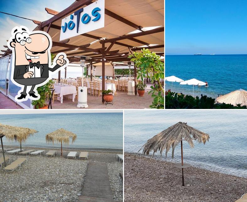 NOTOS Restaurant Beach Bar