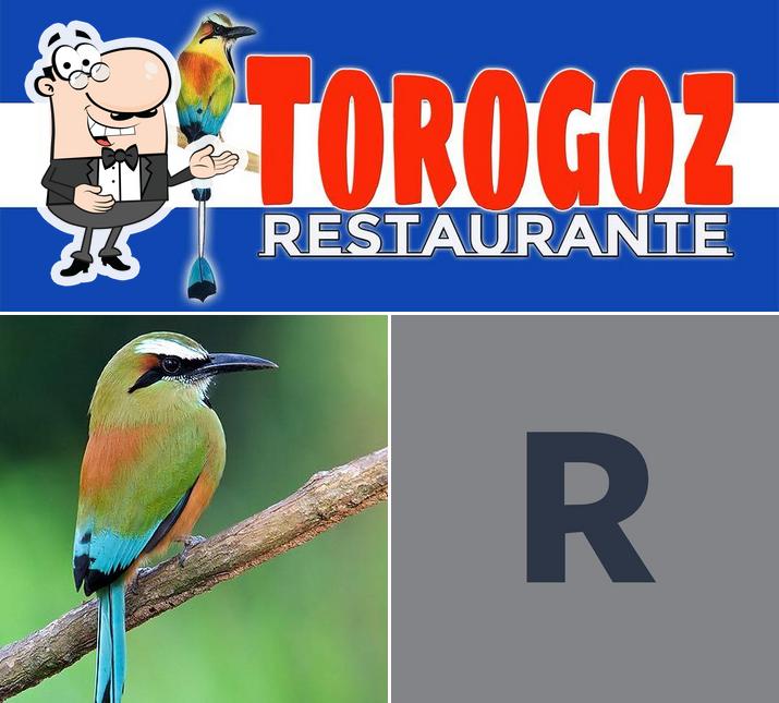 Restaurante el Torogoz