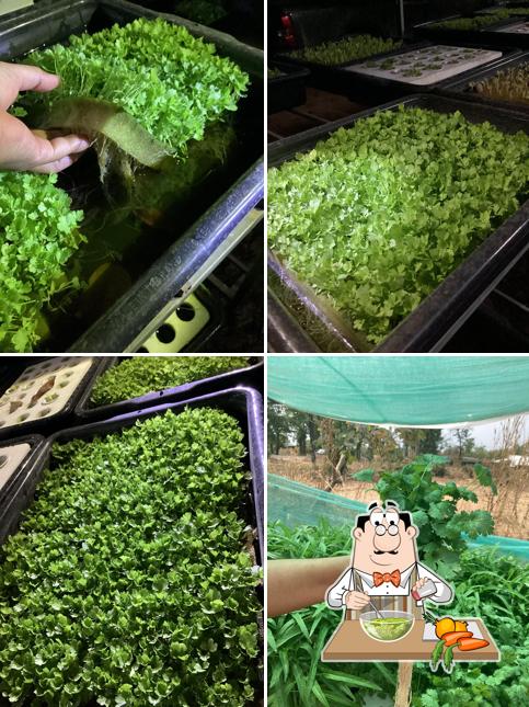 เสพสุข