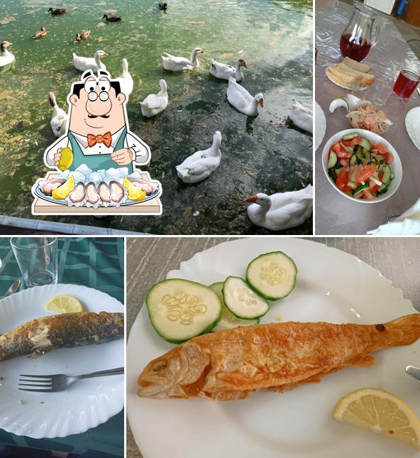 Кафе при форелевом хозяйстве