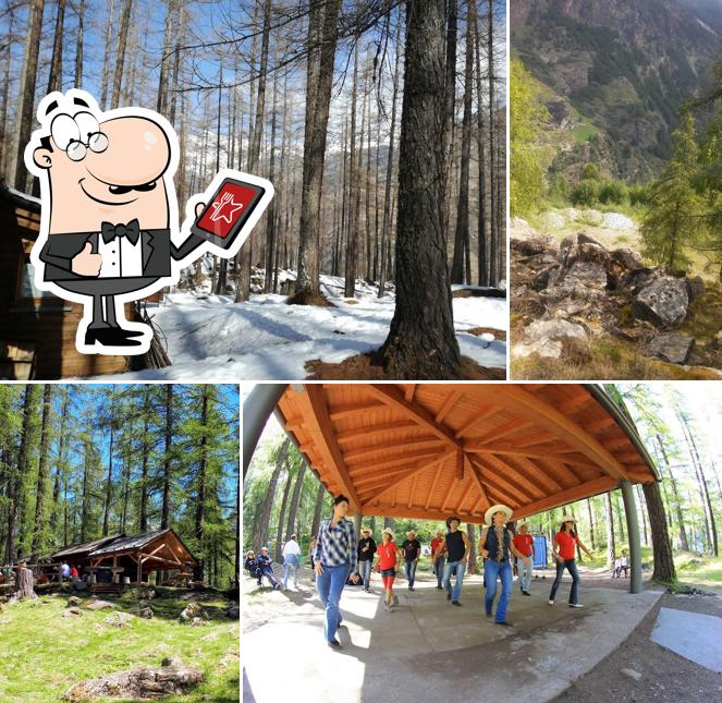 Lo Chalet di Primolo