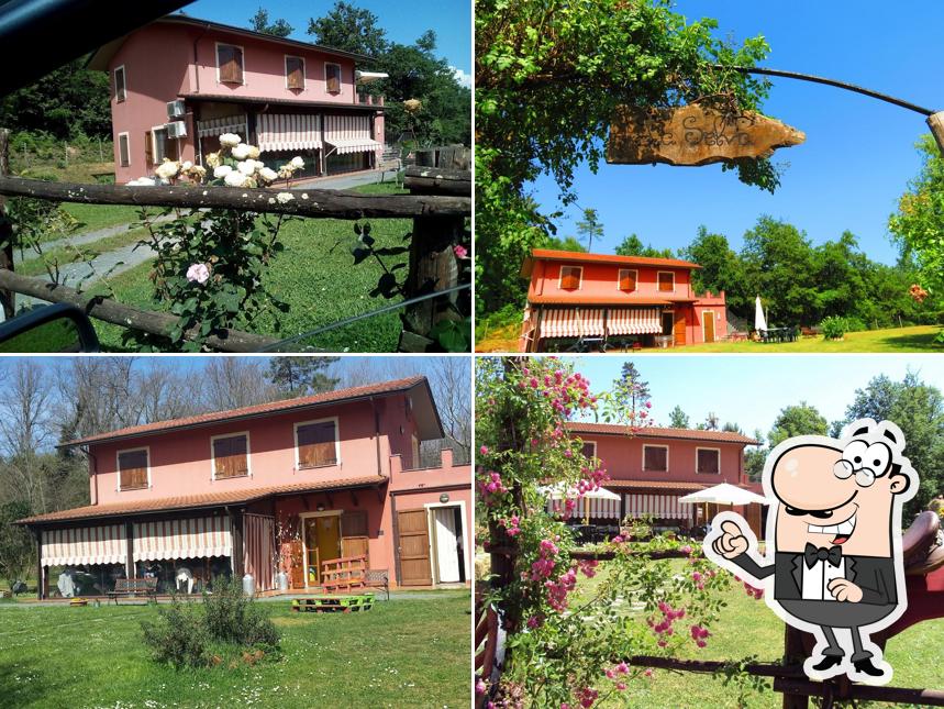 Agriturismo La Selva