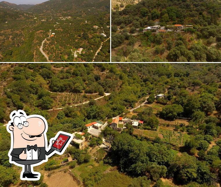 ΓΥΝΑΙΚΕΙΟΣ ΑΓΡΟΤΙΚΟΣ ΣΥΝ/ΣΜΟΣ Π. ΡΟΥΜΑΤΩΝ Η ΑΡΧΟΝΤΙΣΣΑ