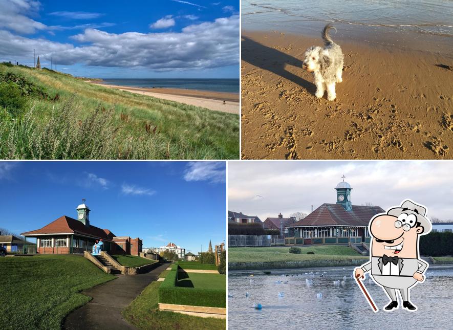 Tynemouth Park