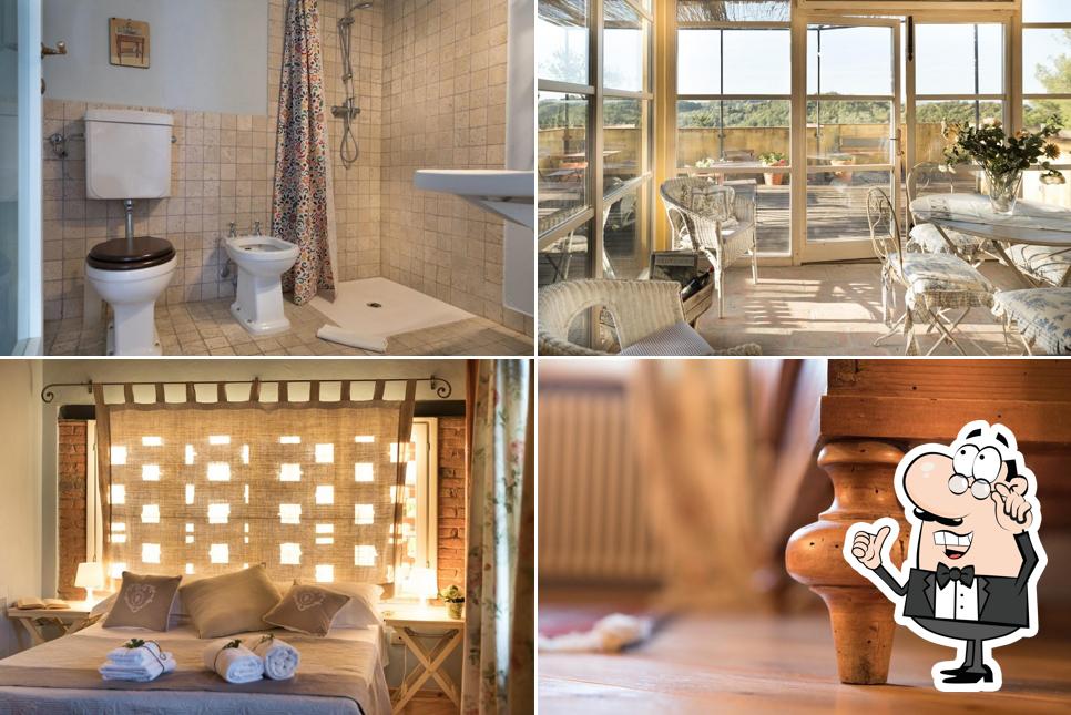 Alpaca Country House