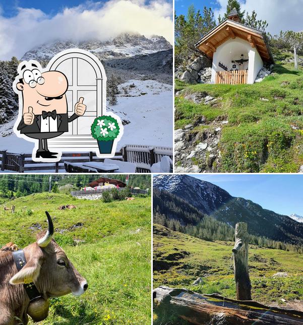Marienbergalm