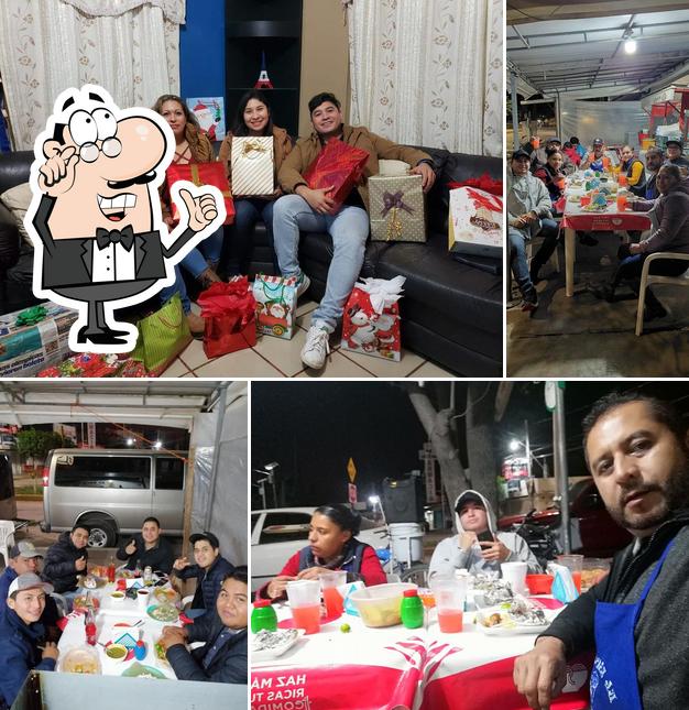 El Taco Veloz El Refugio SLP