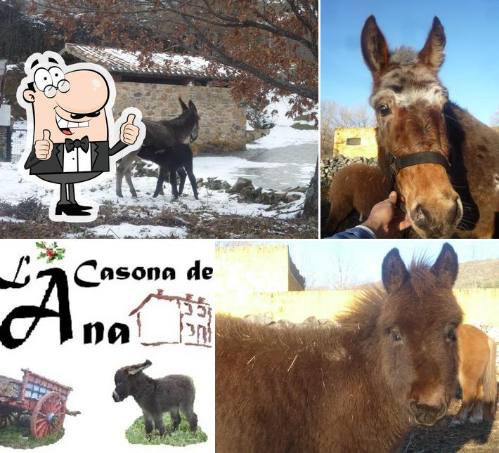 La Casona de Ana