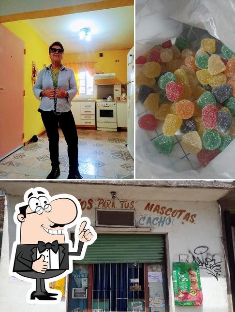 Comida Perros