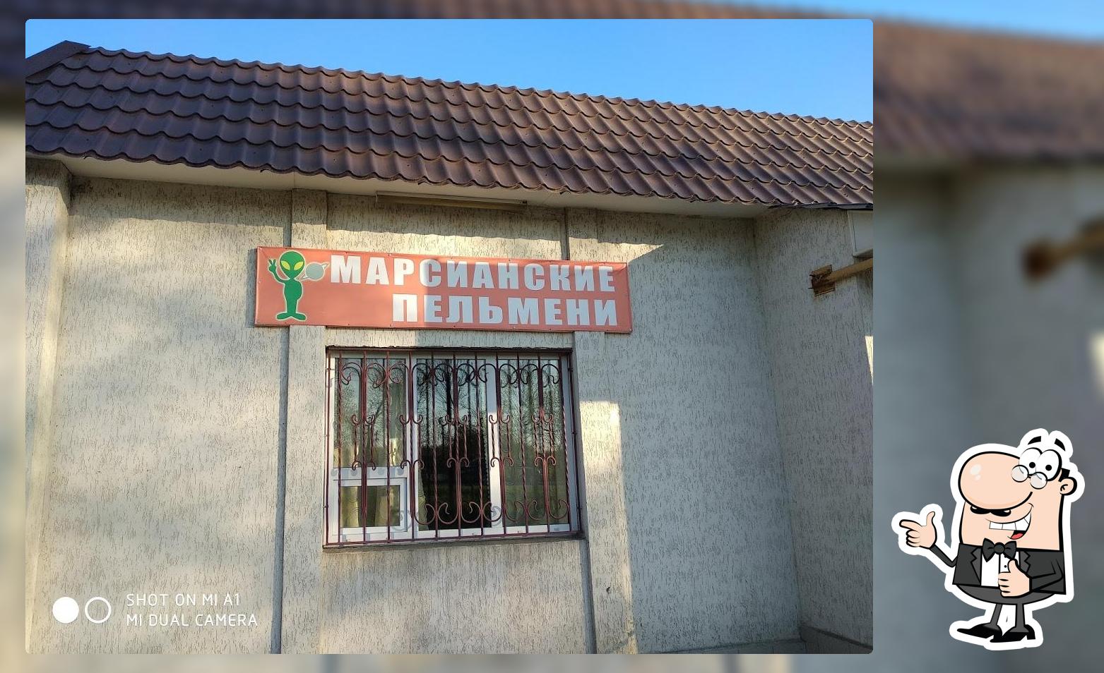 Марсианские пельмени
