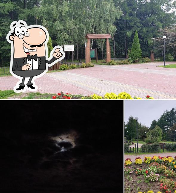 Сакура