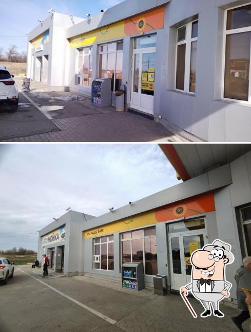 Подсолнух