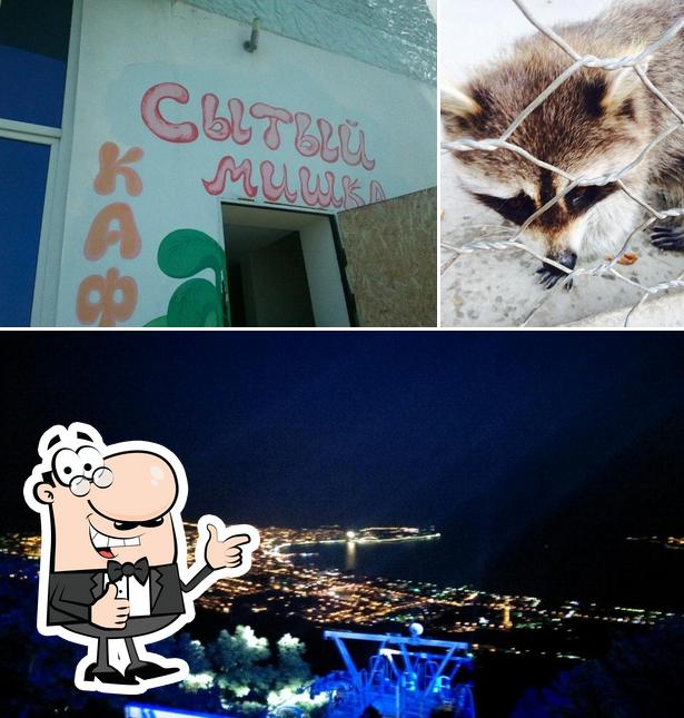 Сытый Мишка