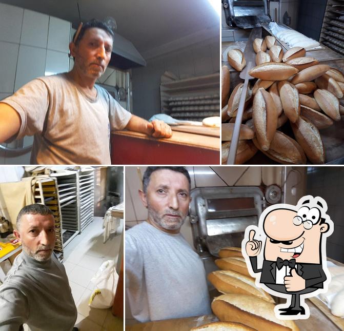 Petek Unlu