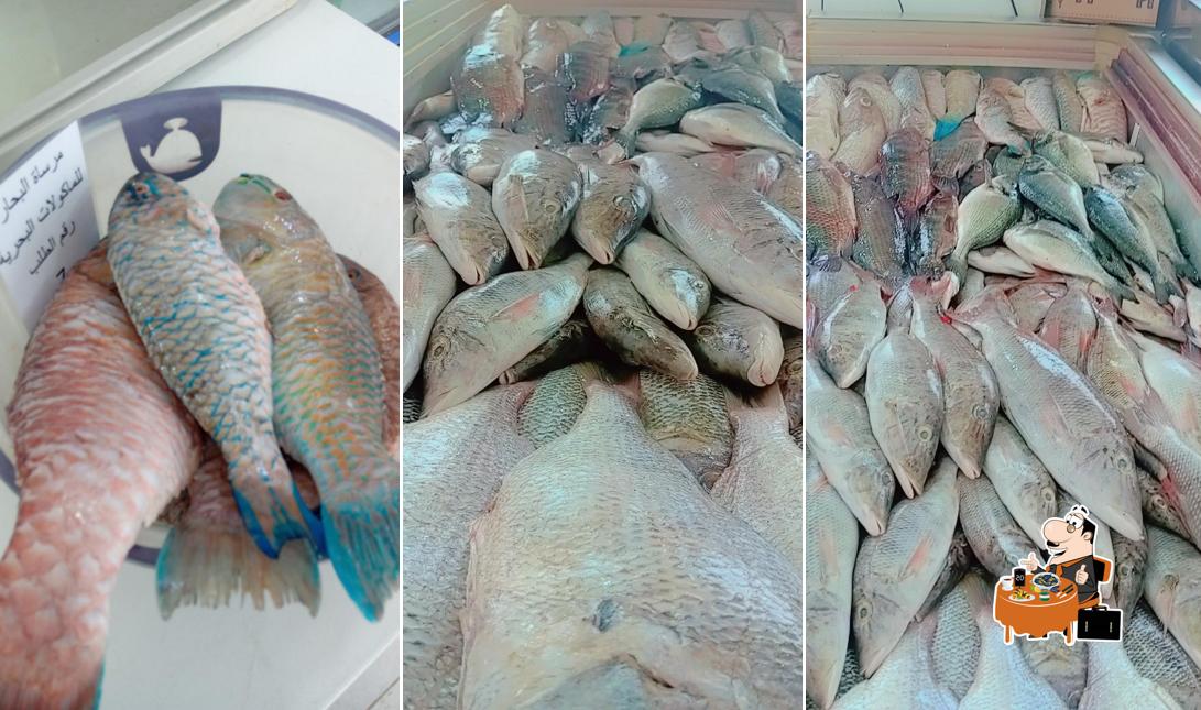 مرساة البحارللأسماك