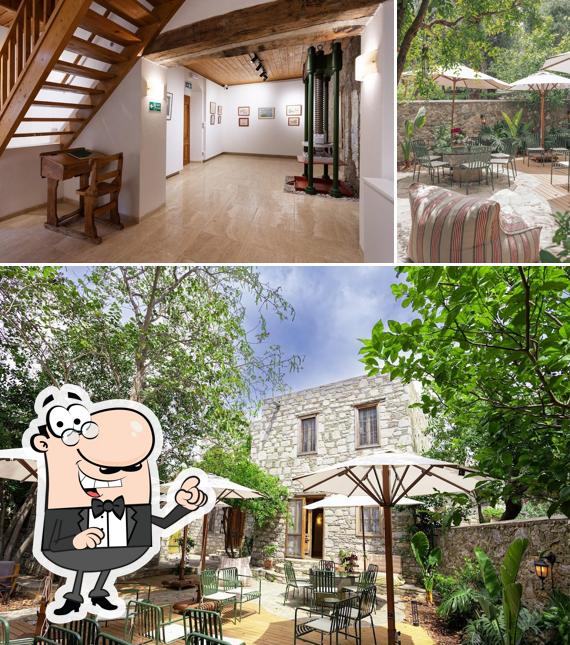 MAISON MAGI