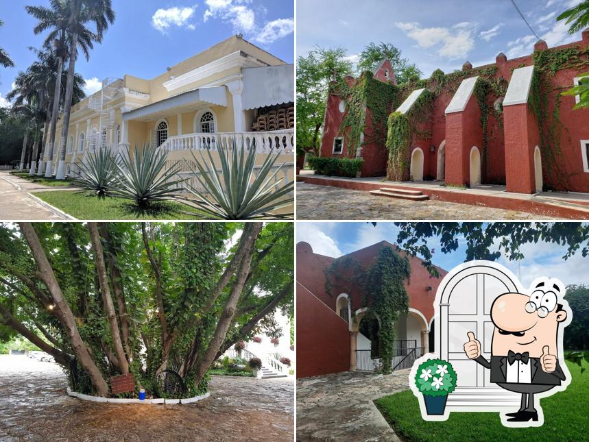Hacienda Teya - Restaurante y Eventos
