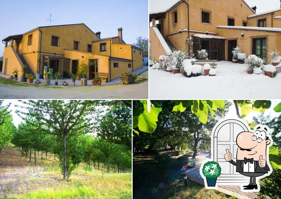 Agriturismo La Casa in Campagna
