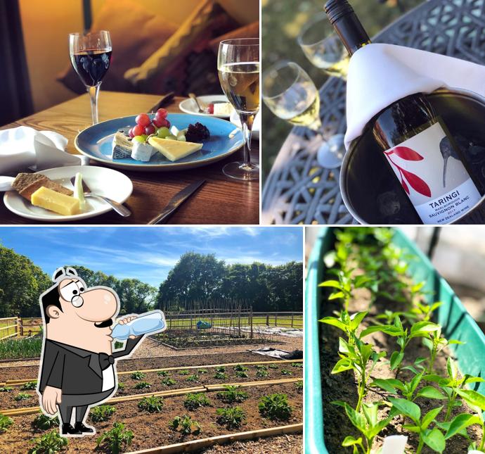 Potager Restaurant