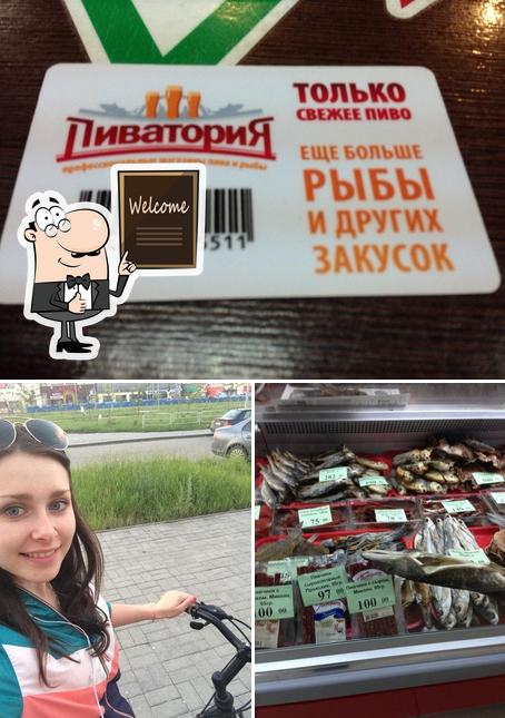 Пиватория