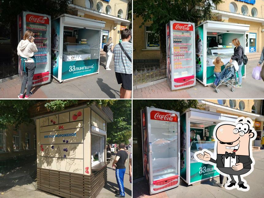33 Пингвина