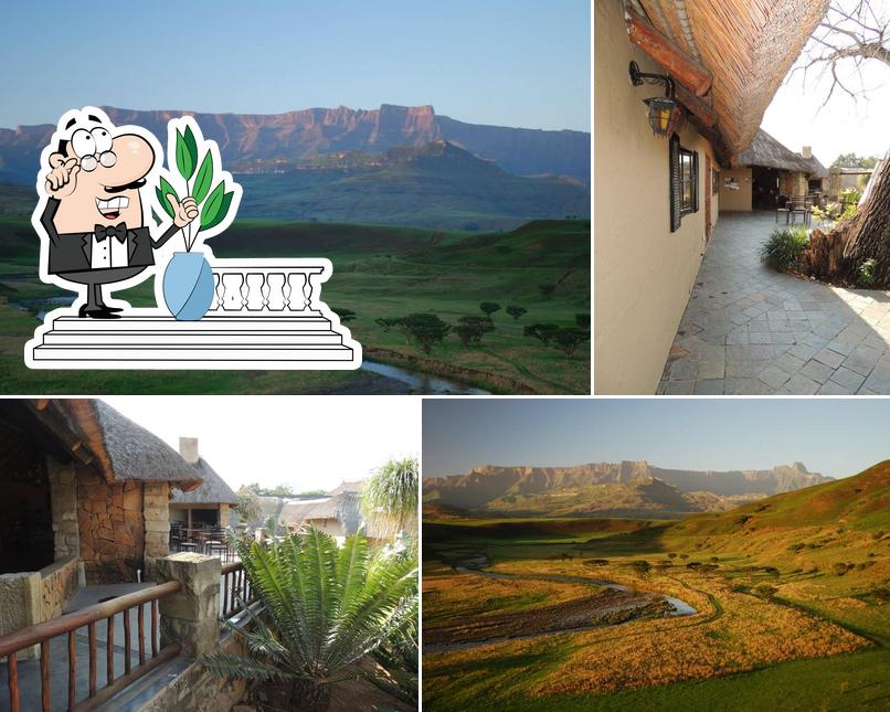 Thyme at The Berg