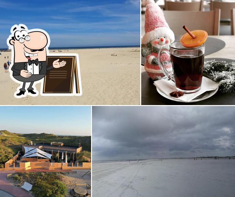 Strandpieper Norderney