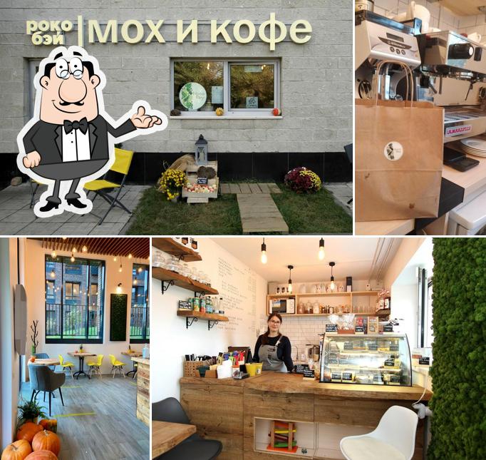 Роко Бэй — Мох и кофе