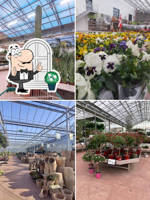 Plantorama Taastrup