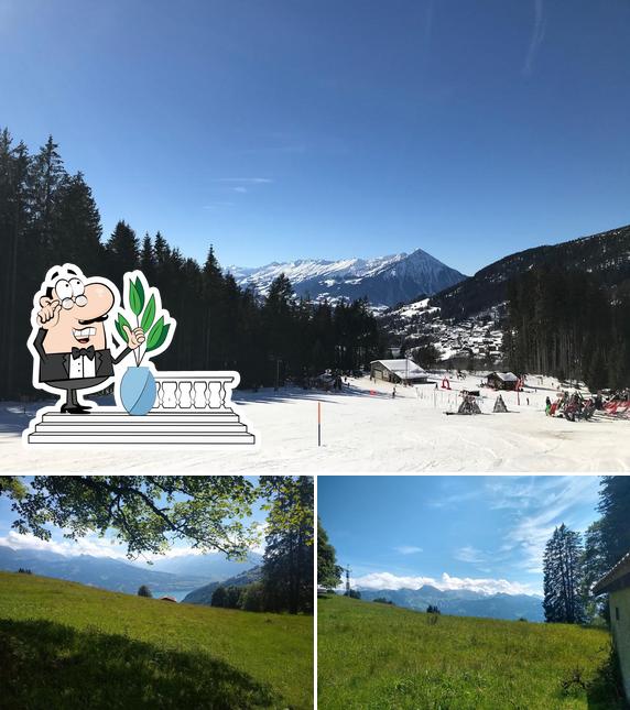 Alphütte Hohwald