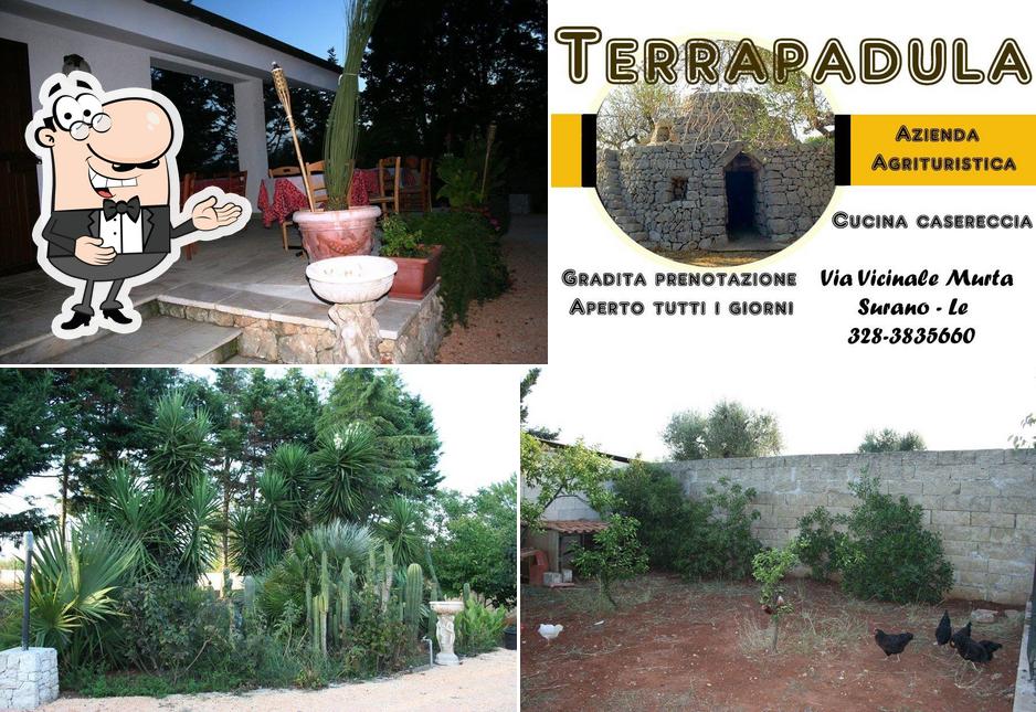 Terrapadula Surano