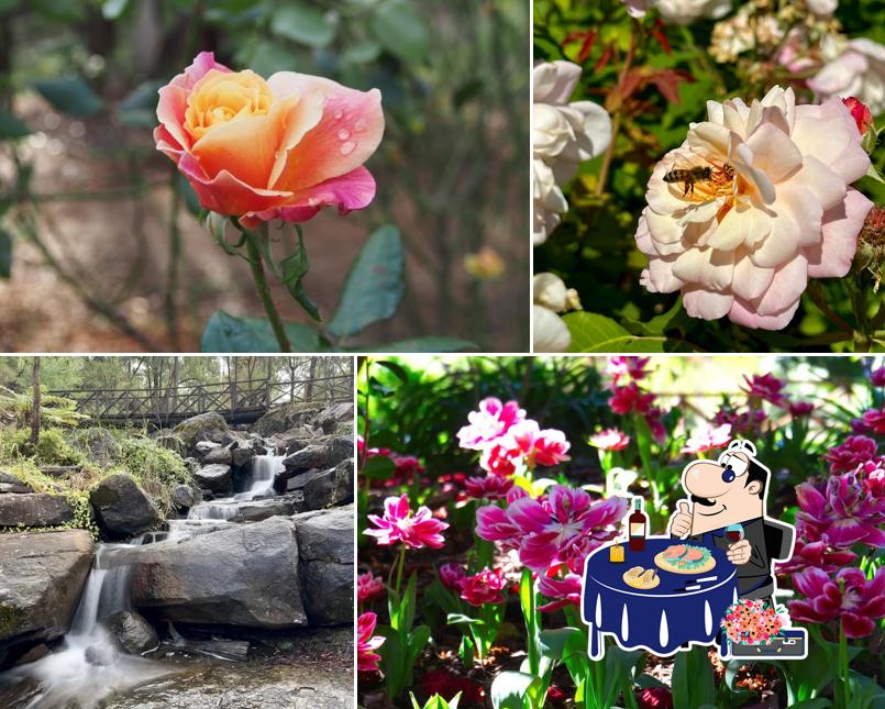 Araluen Botanic Park