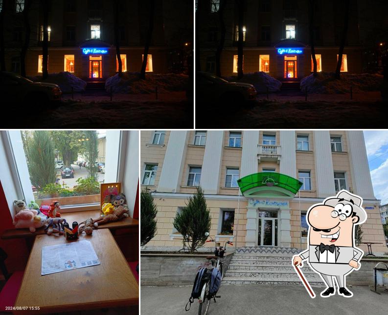 Суп с котом