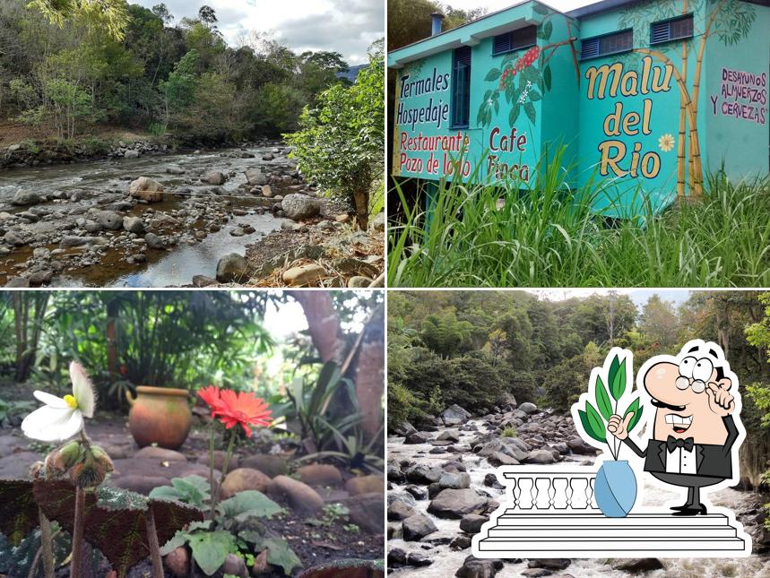 Malu del Rio-Termales