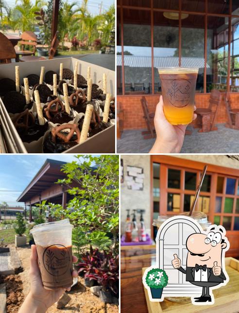 ร้านต้นไม้ Cafe and Garden