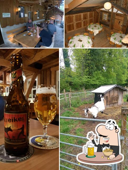 Ribelhof