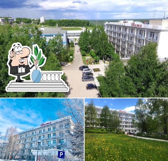 Вита