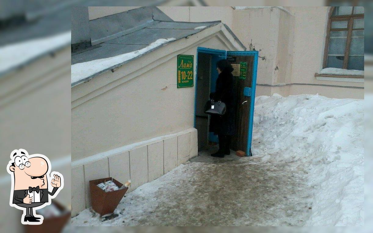 Лама, сеть кафе