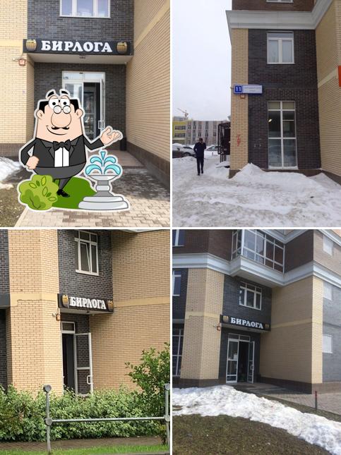 Бирлога