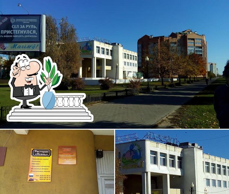ресторан Ясень