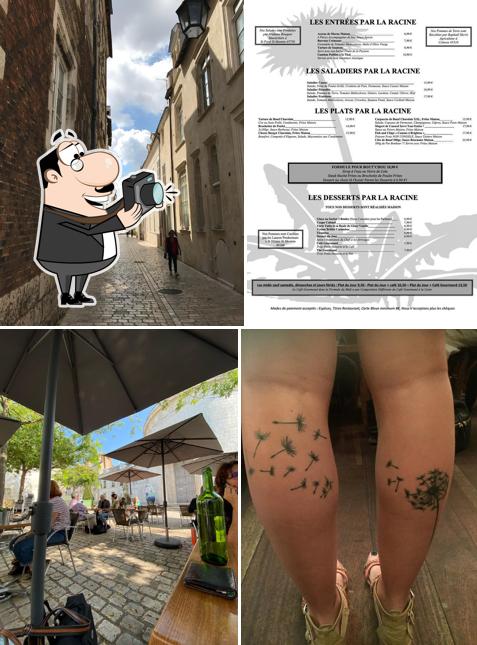 Les Pissenlits par la Racine